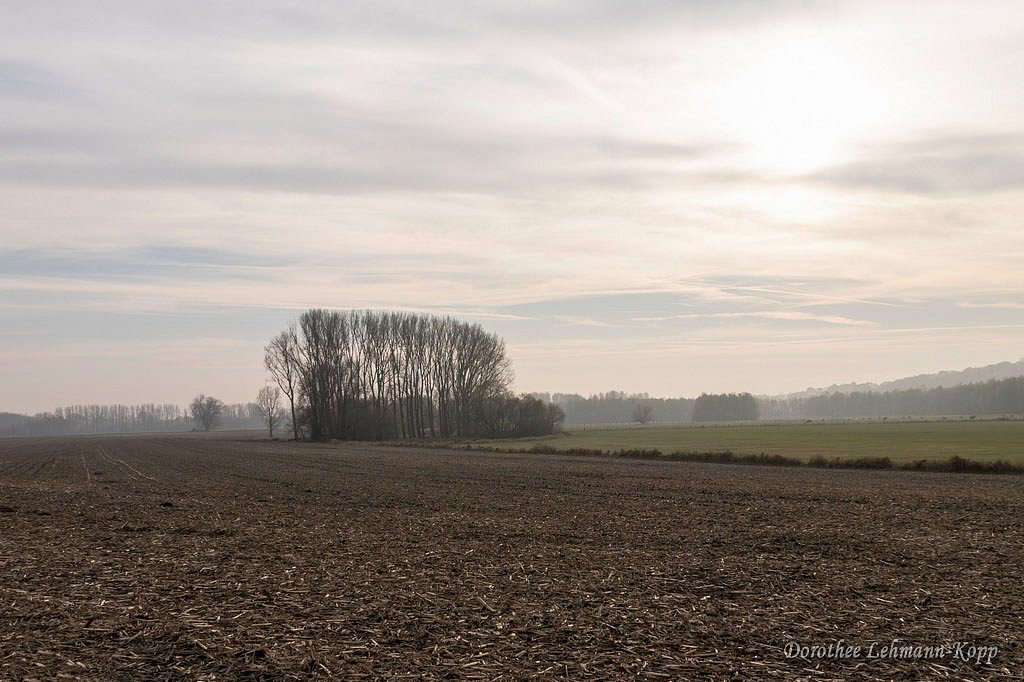 161126-bislich-175.jpg