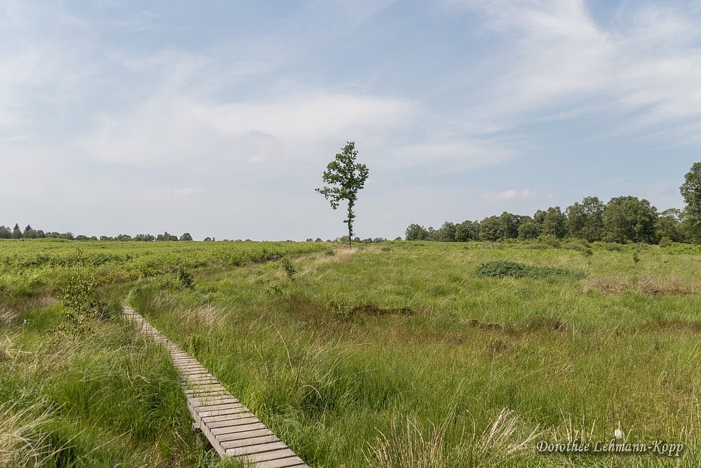 Venns Ostbelgien